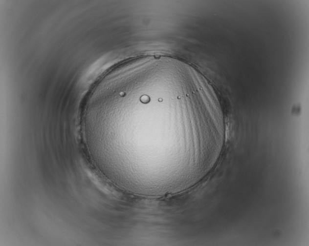 X0000113000339200909171411