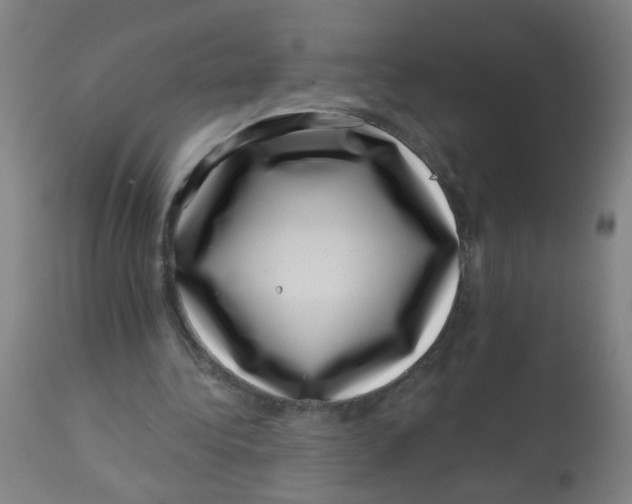 X0000113000340200909171411