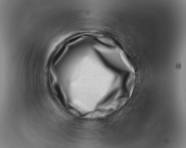 X0000113000342200909171411