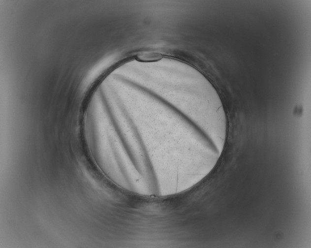 X0000113000344200909171411