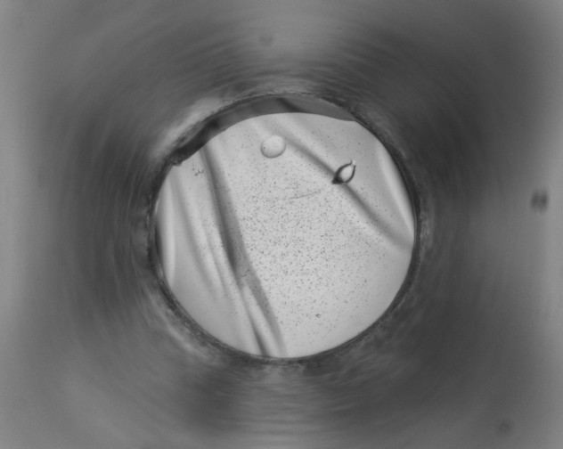 X0000113000345200909171411