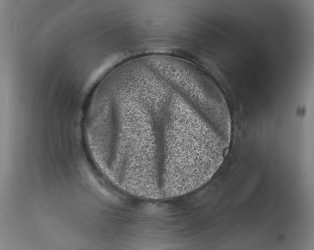 X0000113000346200909171411