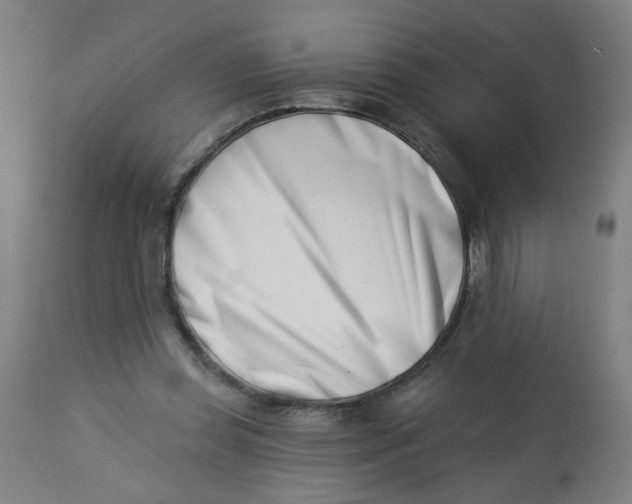 X0000113000349200909171411