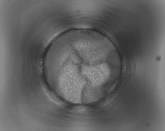 X0000113000351200909171411