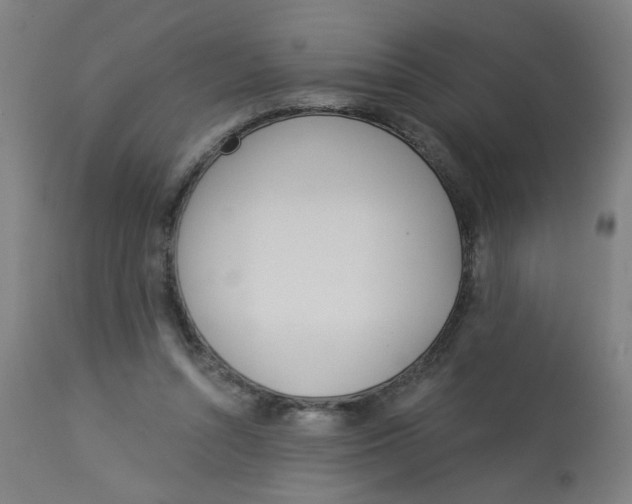 X0000113000352200909171411