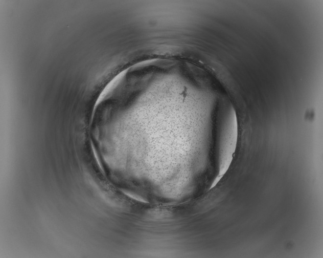 X0000113000354200909171412