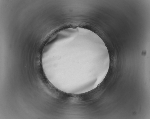 X0000113000356200909171412