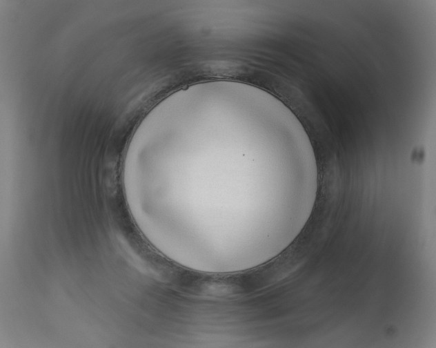 X0000113000360200909171412