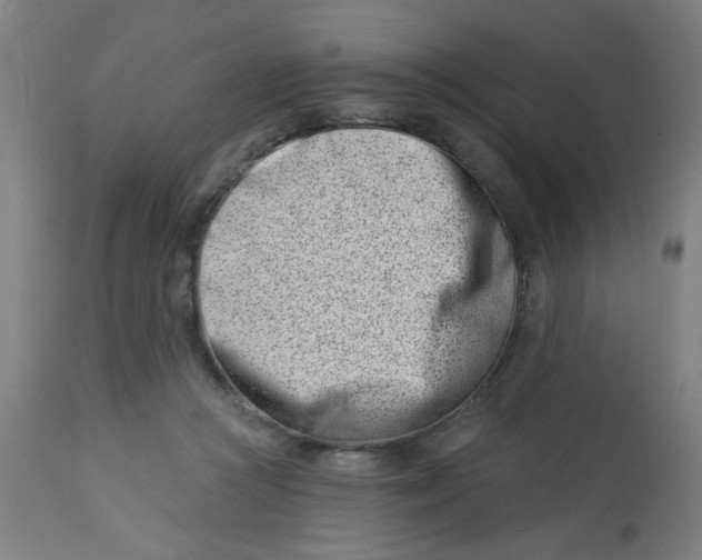 X0000113000361200909171412