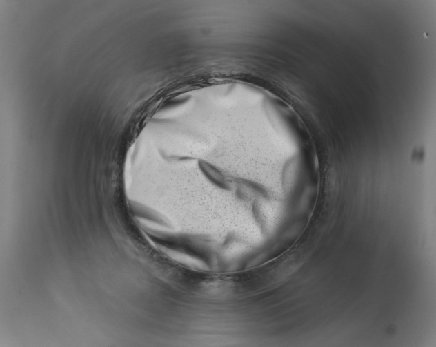 X0000113000362200909171412