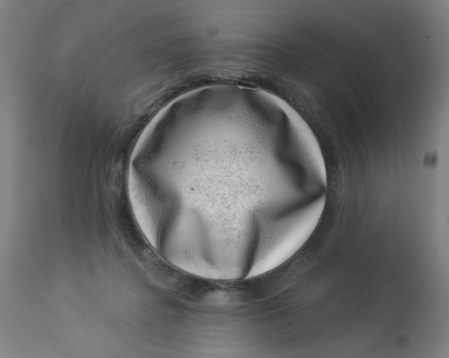 X0000113000364200909171412