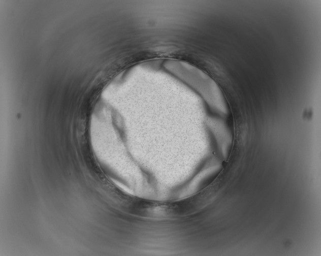 X0000113000365200909171412