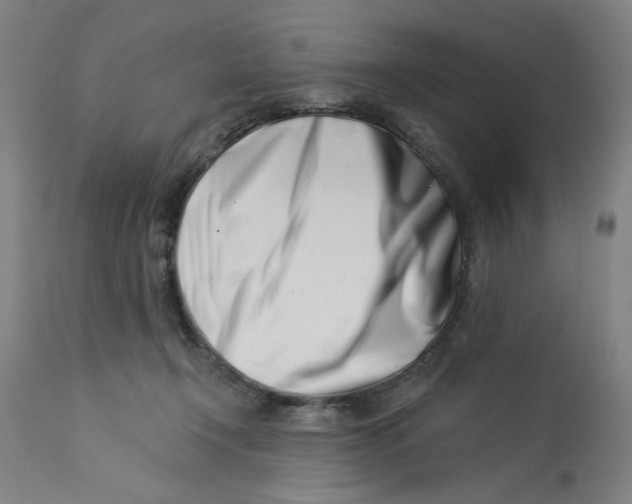 X0000113000366200909171412