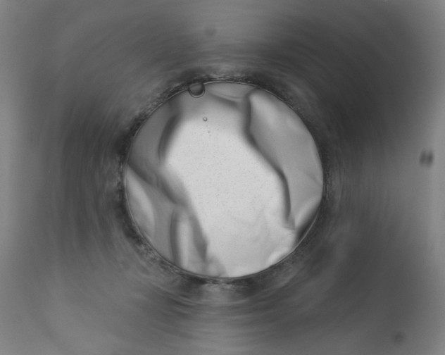 X0000113000367200909171412