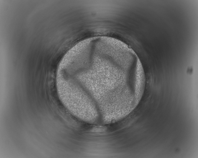 X0000113000369200909171412