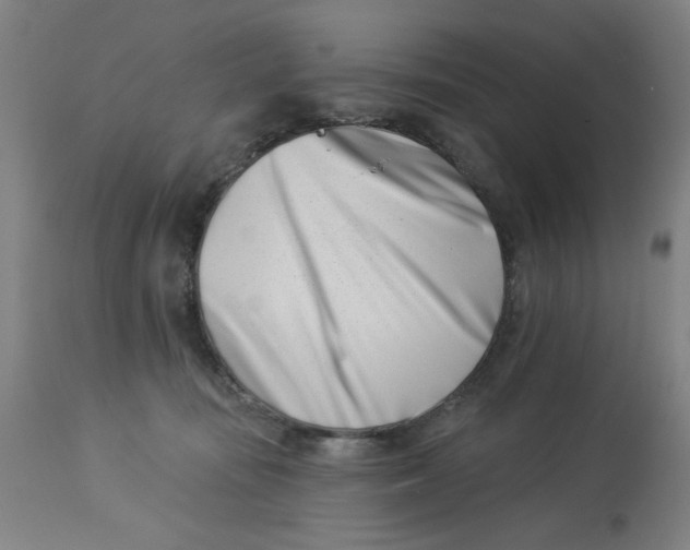 X0000113000371200909171412