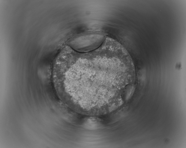 X0000113000372200909171412