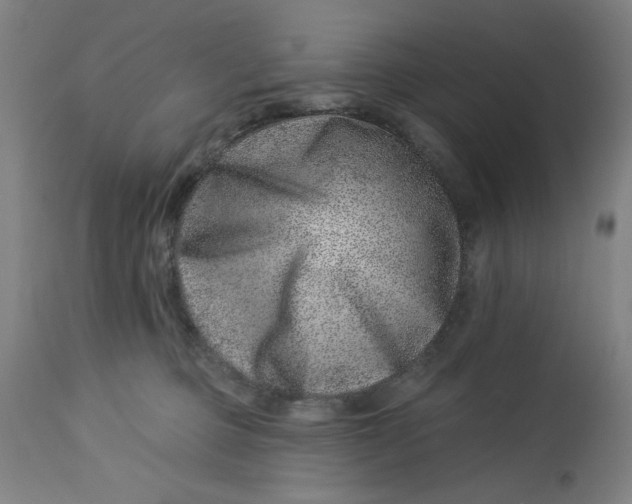 X0000113000373200909171412