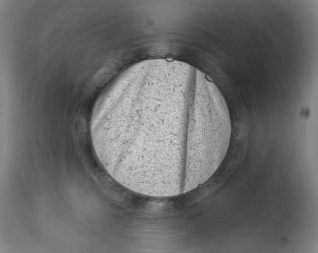 X0000113000375200909171412