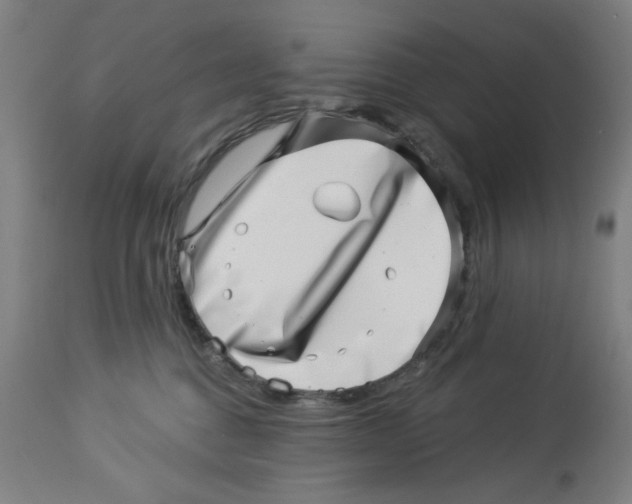 X0000113000376200909171412