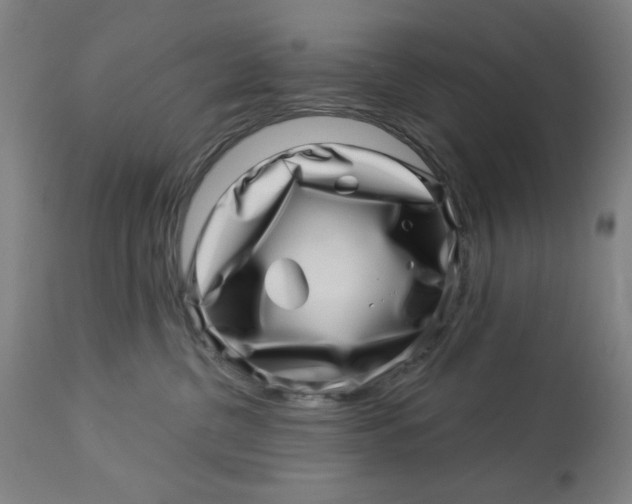 X0000113000380200909171412