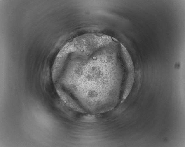 X0000113000381200909171412