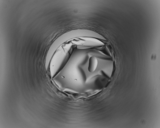 X0000113000384200909171412