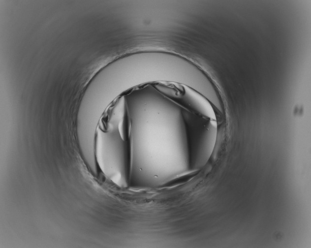 X0000113000385200909171411