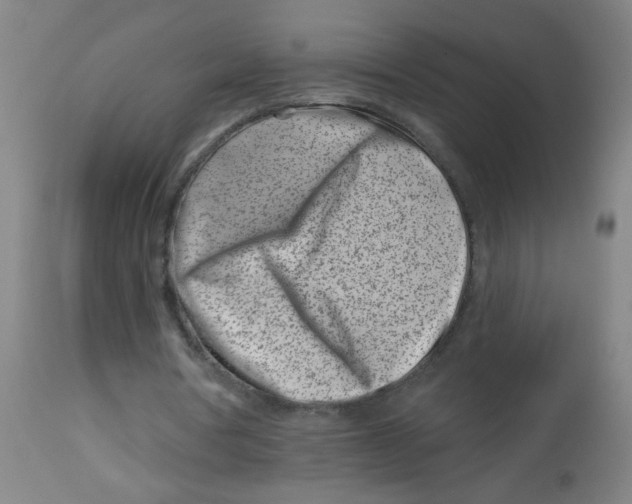 X0000113000386200909171411