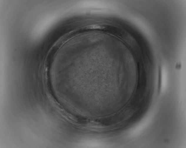 X0000113000387200909171411