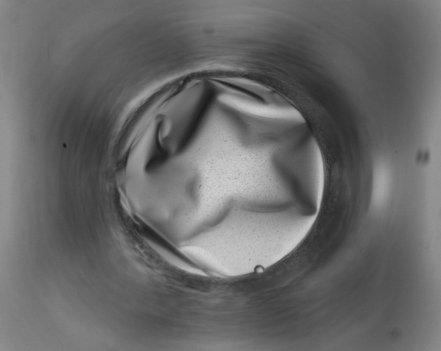 X0000113000388200909171411