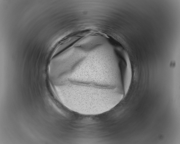 X0000113000390200909171411