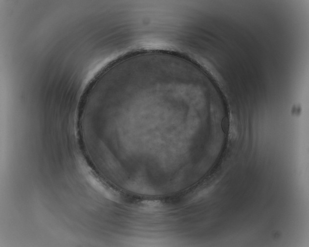 X0000113000391200909171411