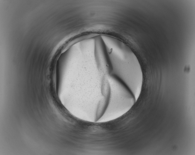 X0000113000392200909171411