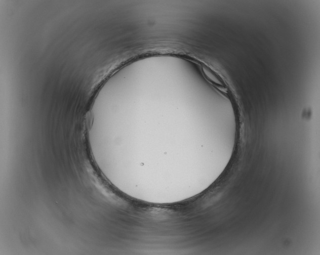 X0000113000393200909171411