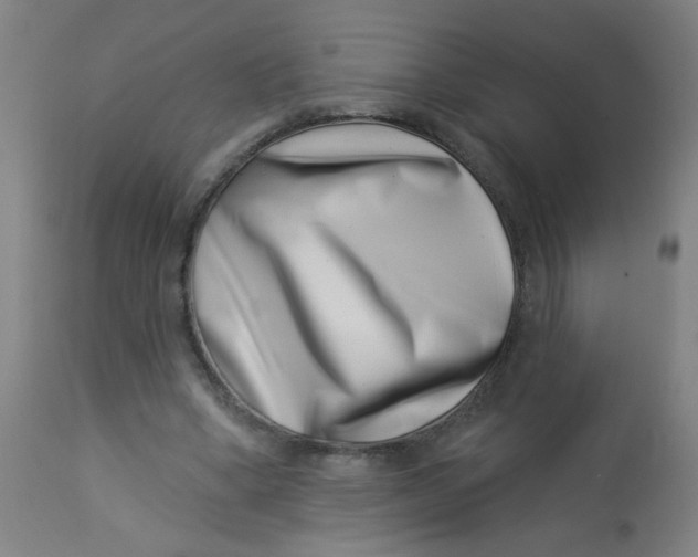 X0000113000394200909171411