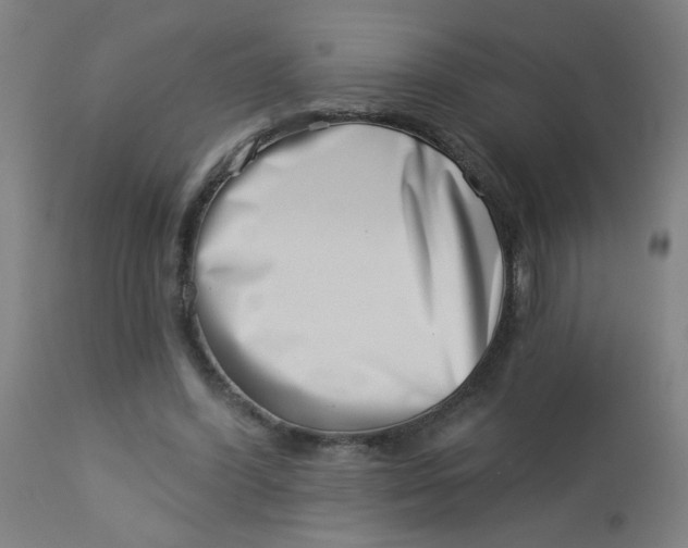 X0000113000396200909171411