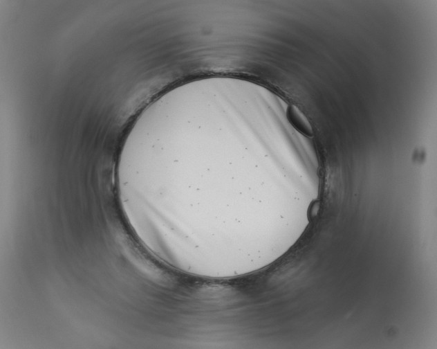 X0000113000397200909171411