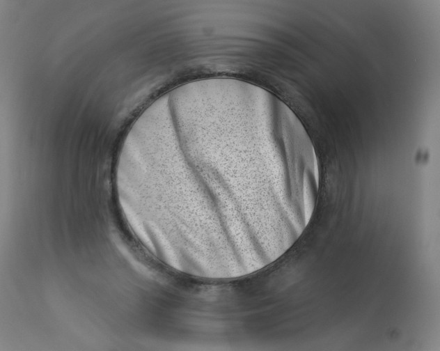 X0000113000398200909171411