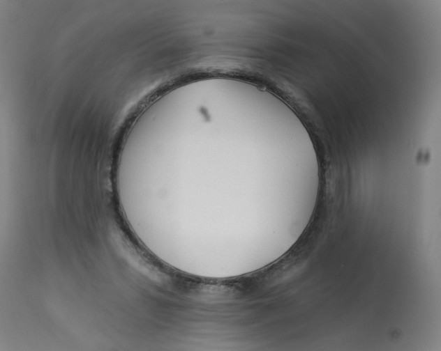 X0000113000399200909171411