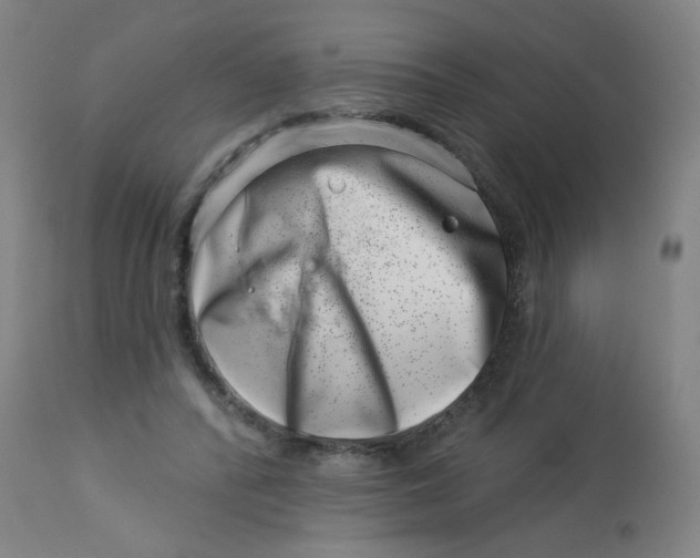 X0000113000400200909171411