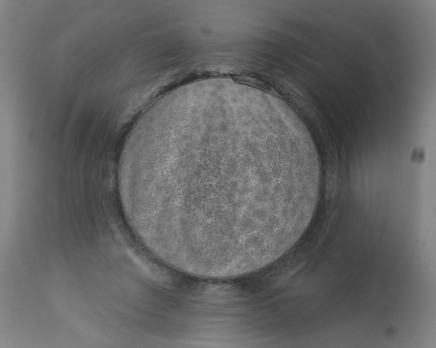 X0000113000401200909171411