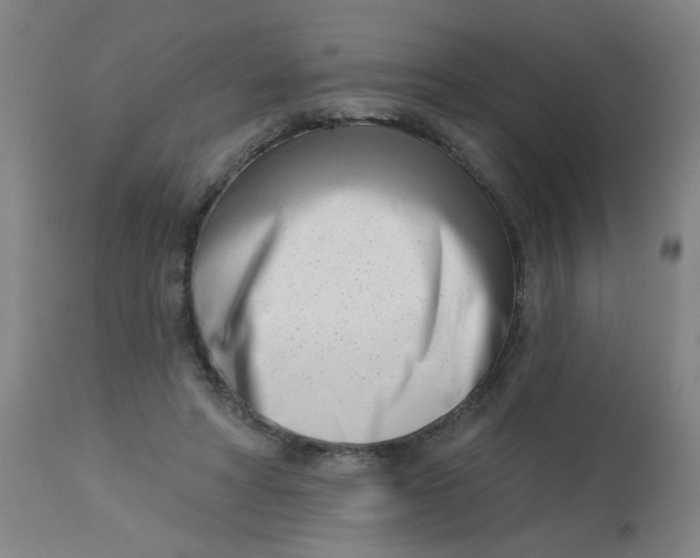 X0000113000402200909171411