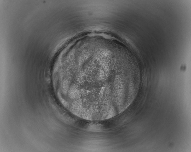 X0000113000403200909171411