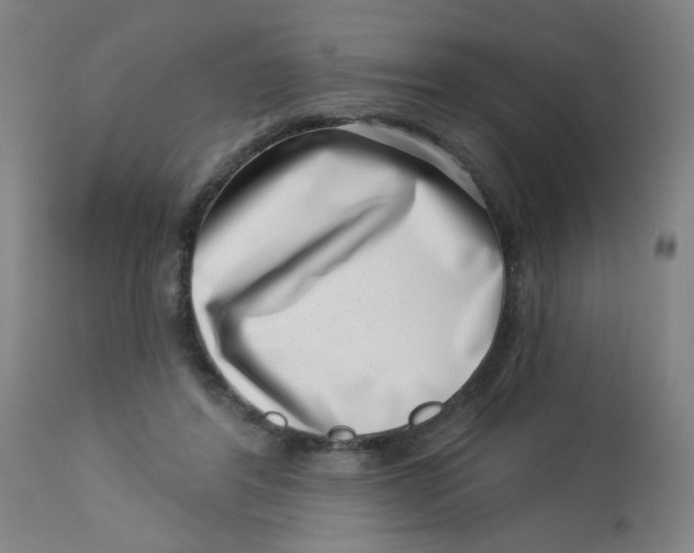 X0000113000404200909171411