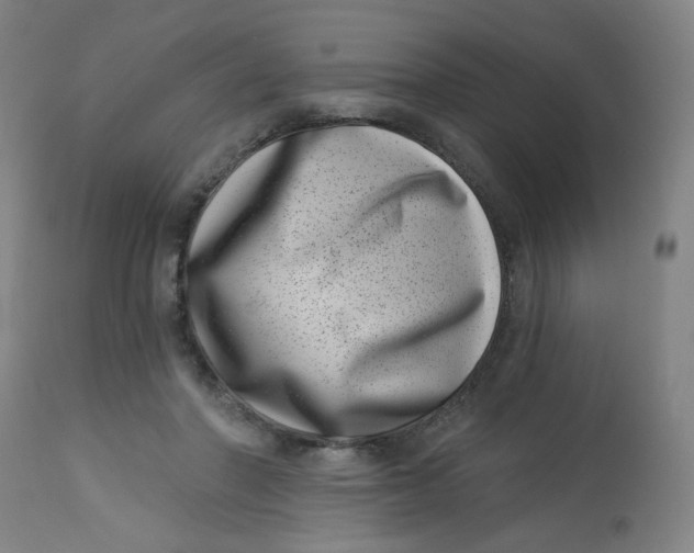 X0000113000406200909171411