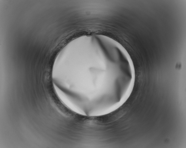 X0000113000408200909171411