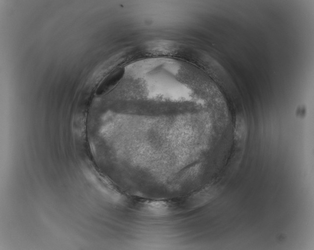 X0000113000409200909171411