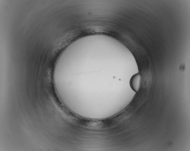 X0000113000410200909171411