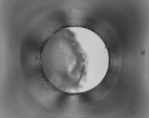 X0000113000411200909171411